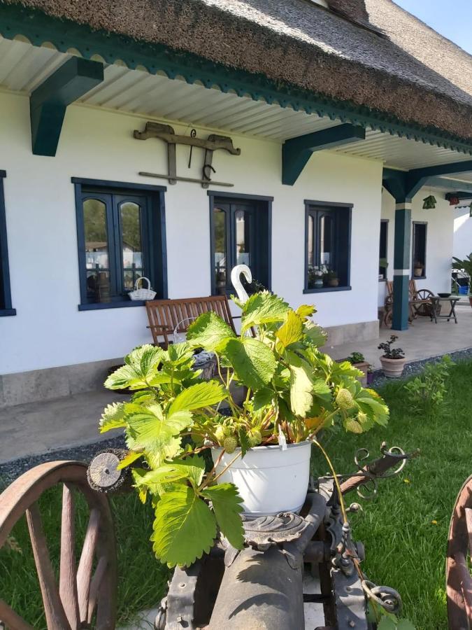 Agropensiunea Beluga Gorgova Exterior foto
